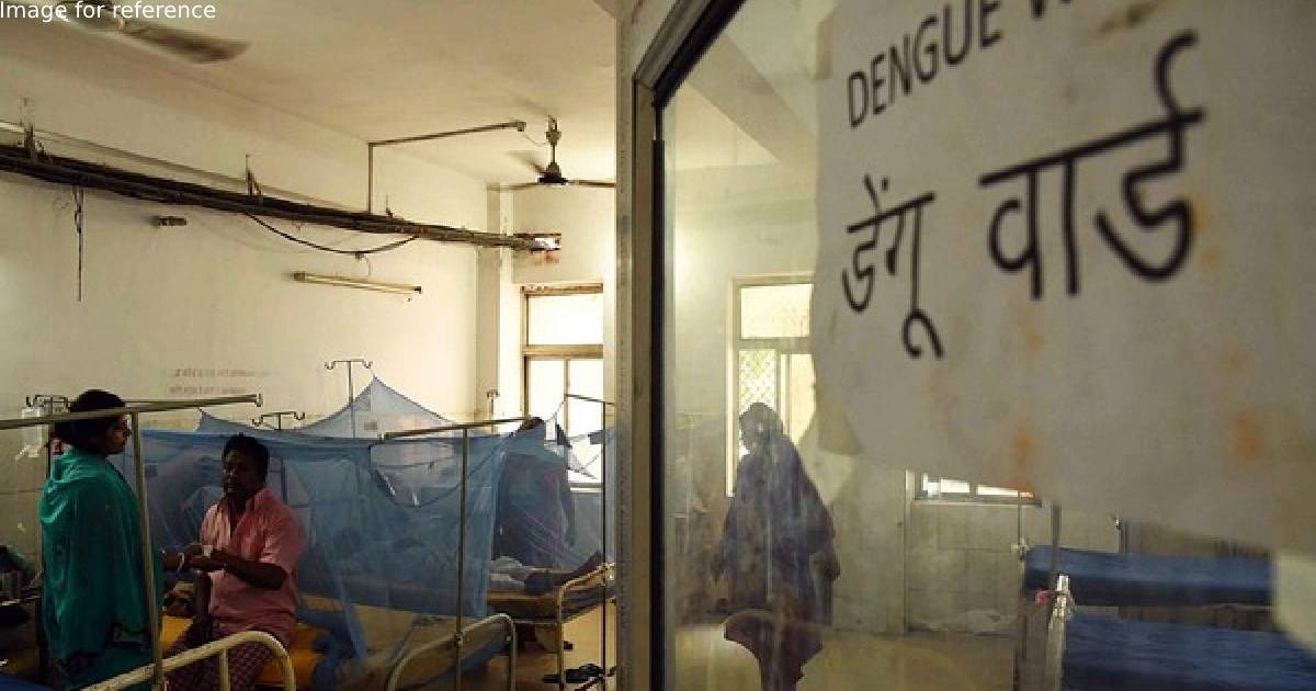 Delhi reports 32 dengue cases in June, 143 so far this year